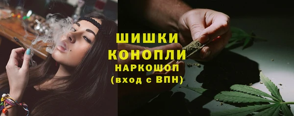 дмт Дмитриев