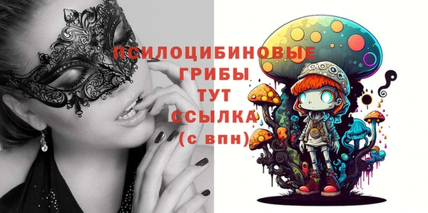 спиды Елизово
