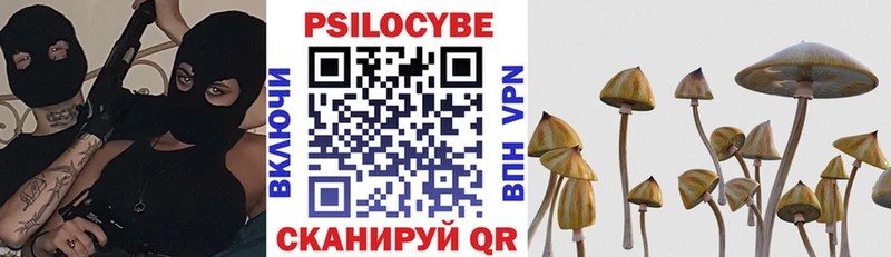 Псилоцибиновые грибы мицелий  маркетплейс клад  Старица 